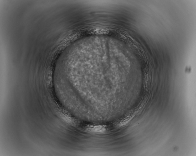 X0000098020553200804181205