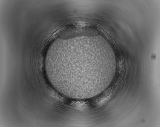 X0000098020554200804181205