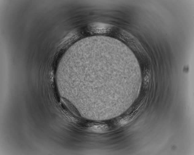 X0000098020555200804181205