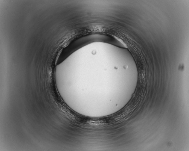 X0000098020556200804181205
