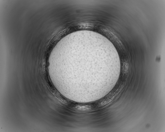 X0000098020557200804181205