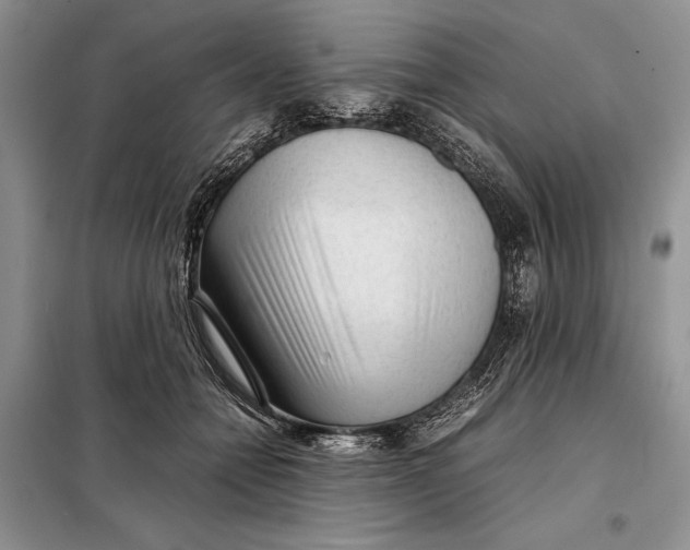 X0000098020558200804181205