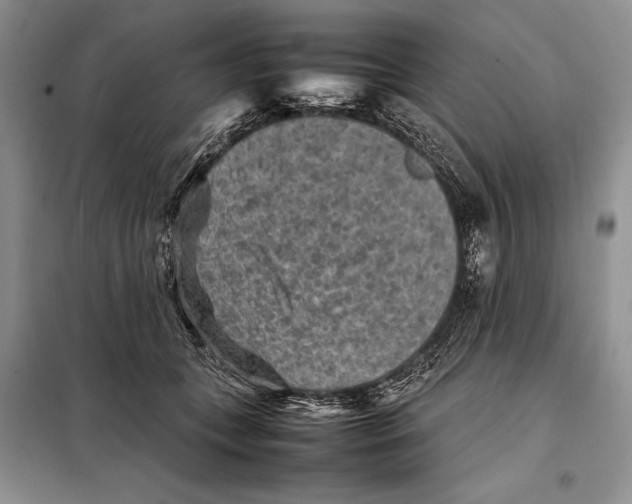 X0000098020559200804181205