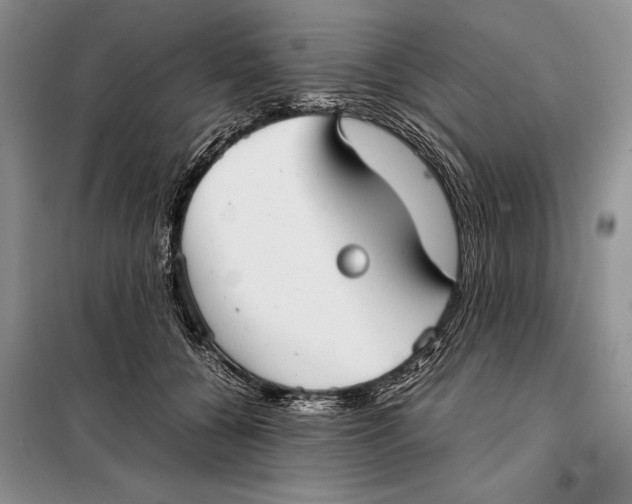 X0000098020560200804181205