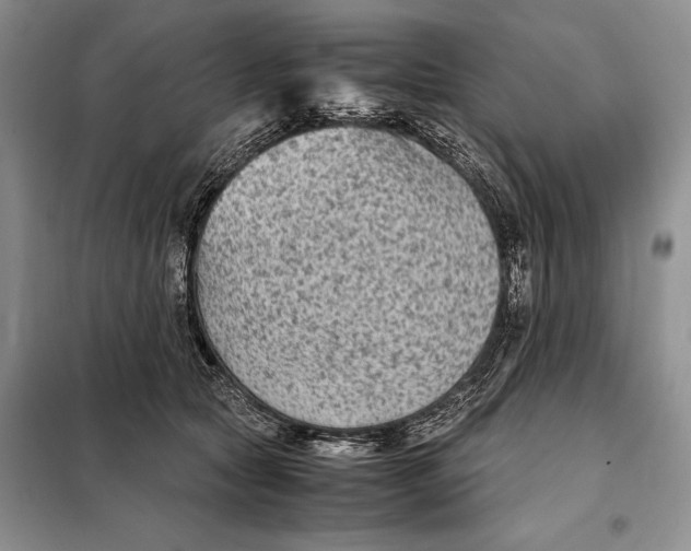 X0000098020561200804181205