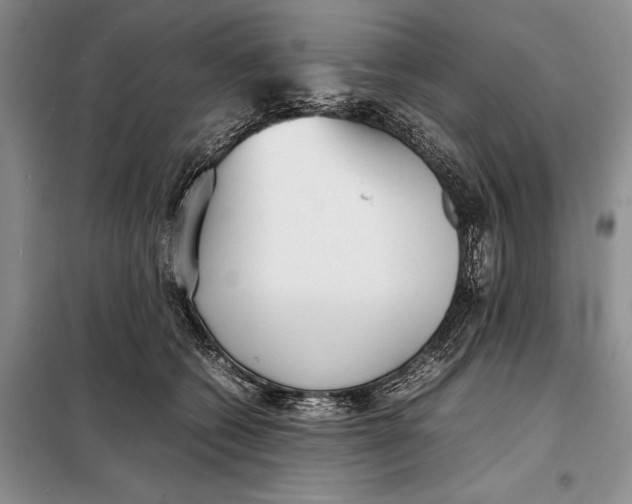 X0000098020562200804181205