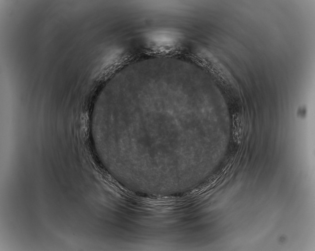 X0000098020563200804181205