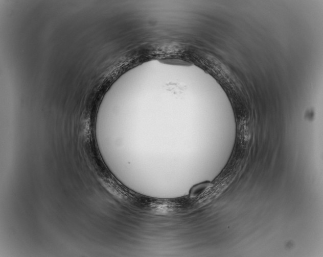 X0000098020564200804181205