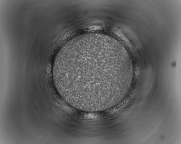 X0000098020565200804181205