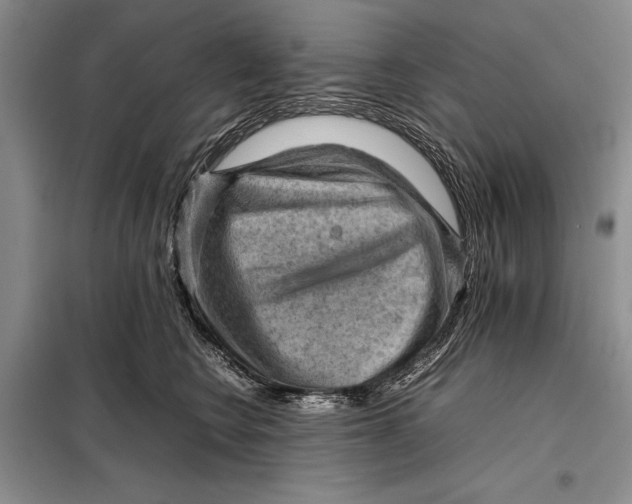 X0000098020566200804181205