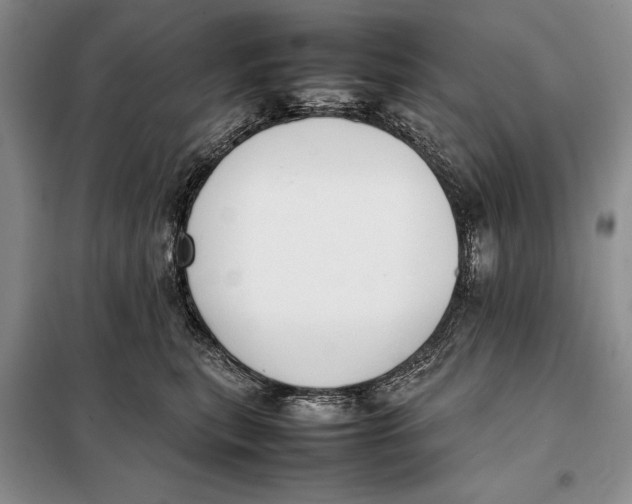 X0000098020567200804181205
