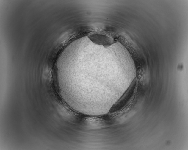 X0000098020568200804181205