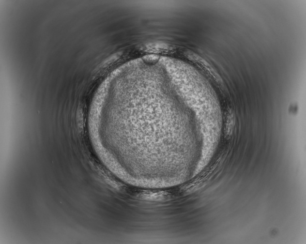 X0000098020569200804181205