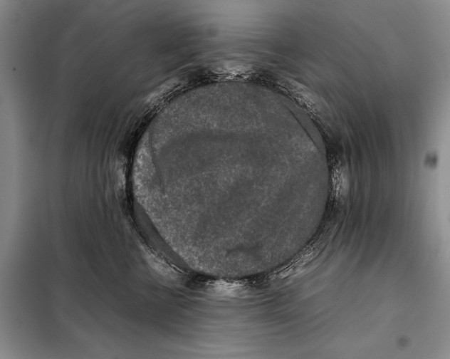 X0000098020570200804181205