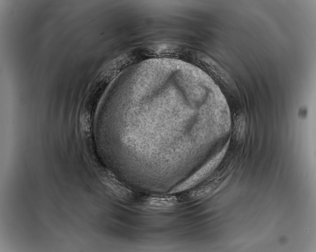 X0000098020571200804181205