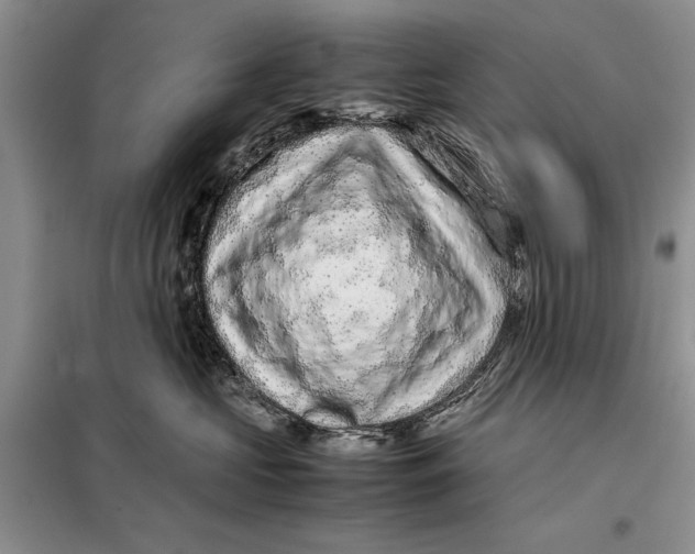 X0000098020573200804181205