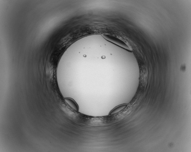 X0000098020574200804181205