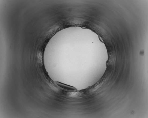X0000098020575200804181205