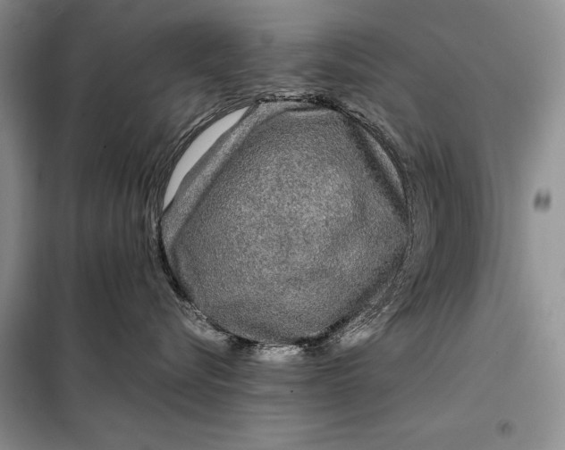 X0000098020576200804181205