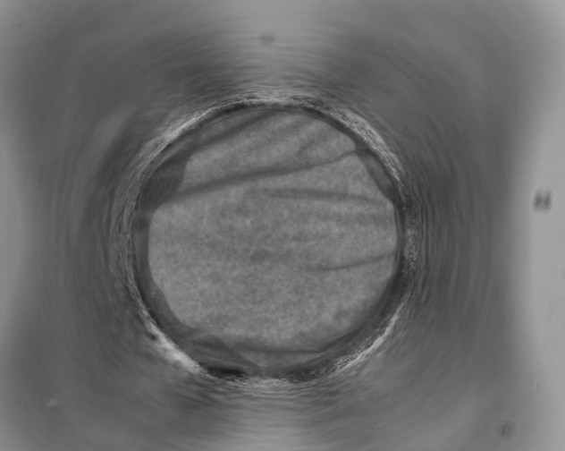 X0000098020577200804181205
