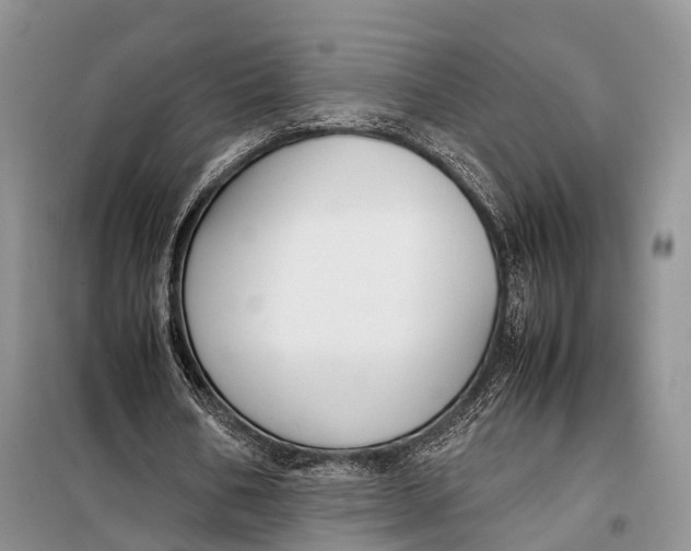 X0000098020578200804181205