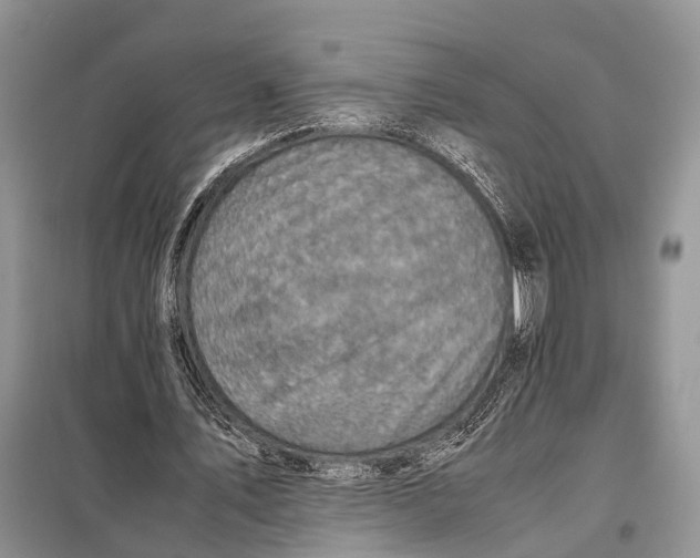 X0000098020579200804181205