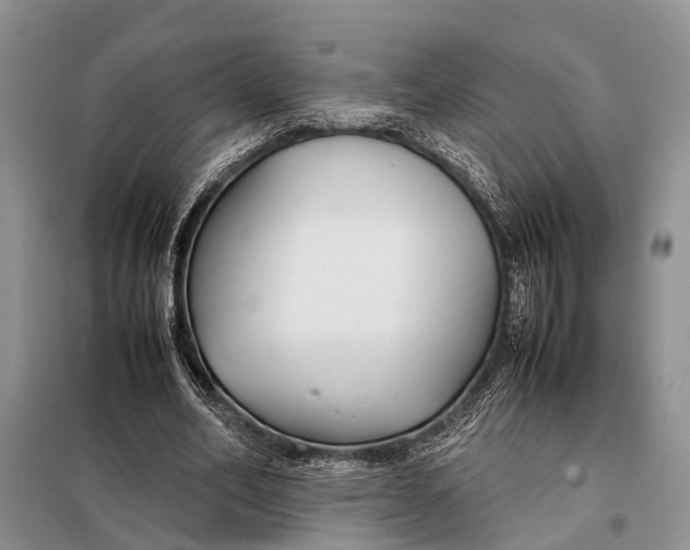 X0000098020582200804181204