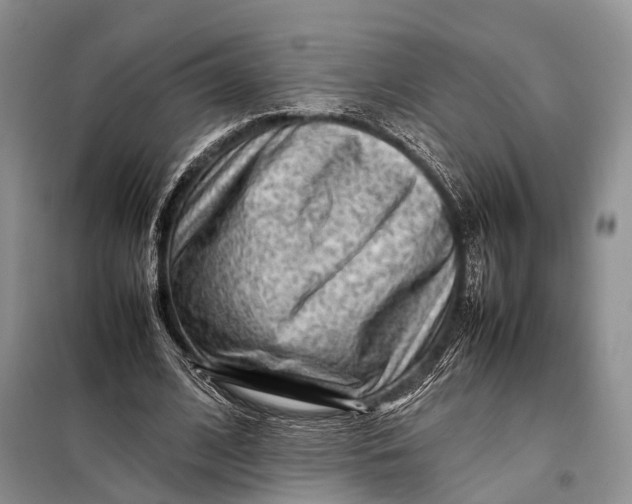 X0000098020584200804181204