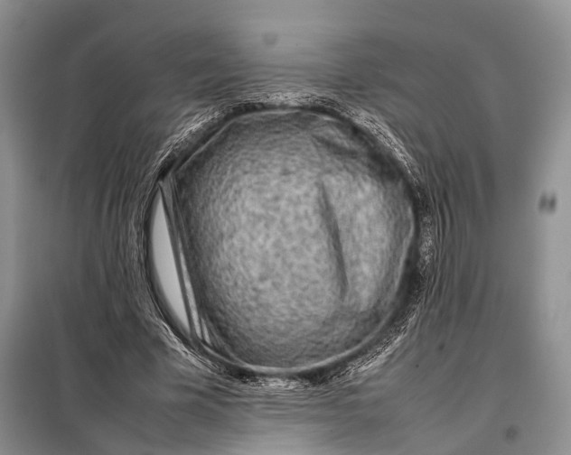 X0000098020585200804181204