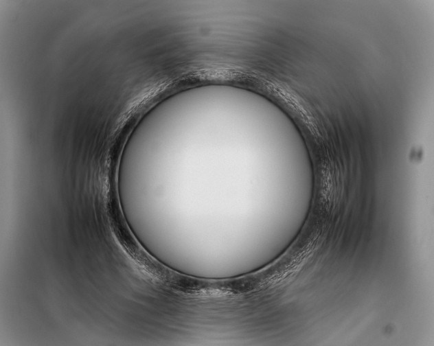 X0000098020586200804181204