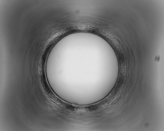 X0000098020587200804181204