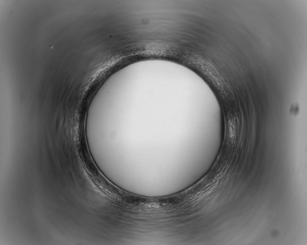X0000098020588200804181204