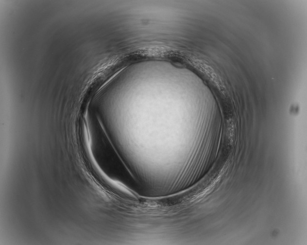 X0000098020589200804181204