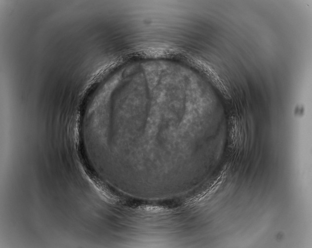 X0000098020590200804181204