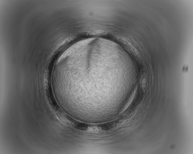 X0000098020591200804181204