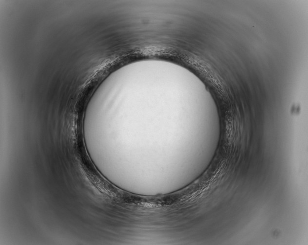 X0000098020592200804181204