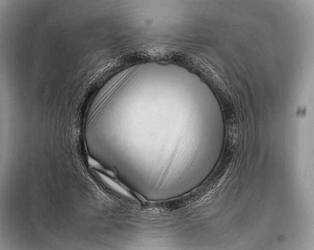 X0000098020593200804181204