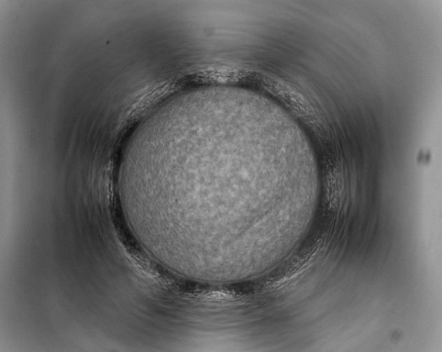 X0000098020594200804181204