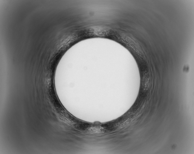 X0000098020595200804181204