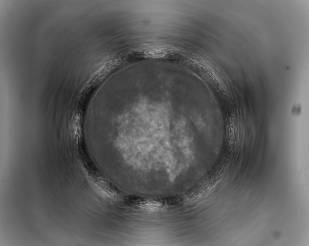 X0000098020598200804181204