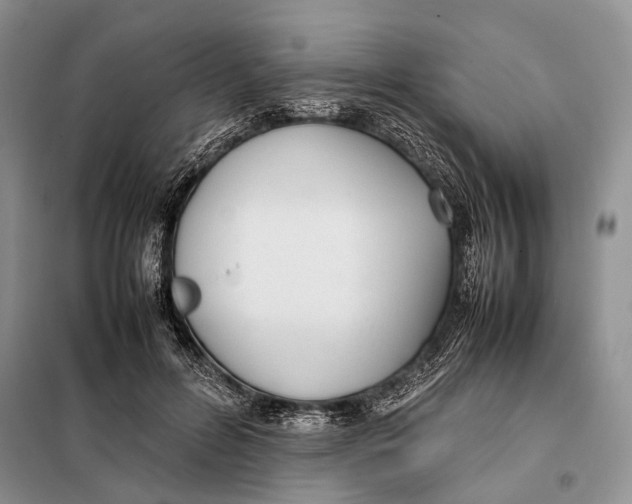 X0000098020600200804181204