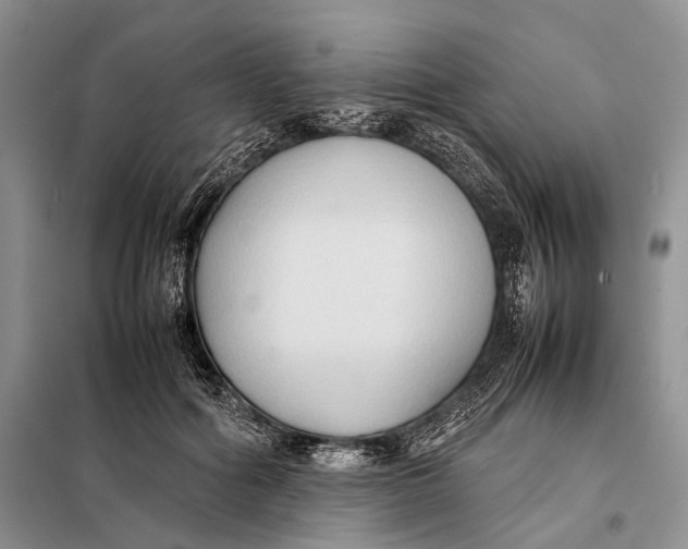 X0000098020602200804181204