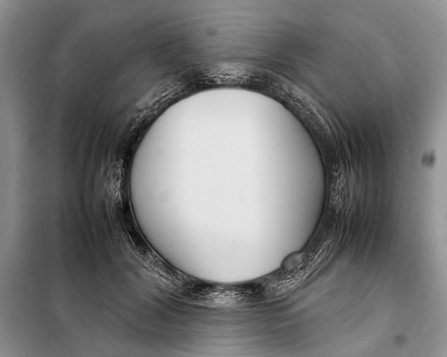 X0000098020604200804181204