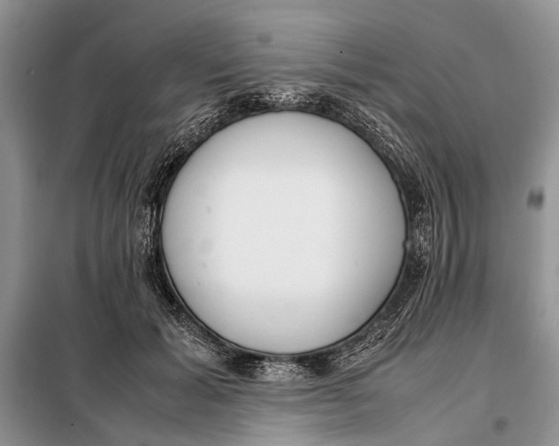 X0000098020605200804181204