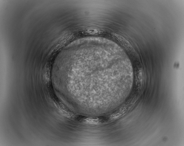 X0000098020606200804181204