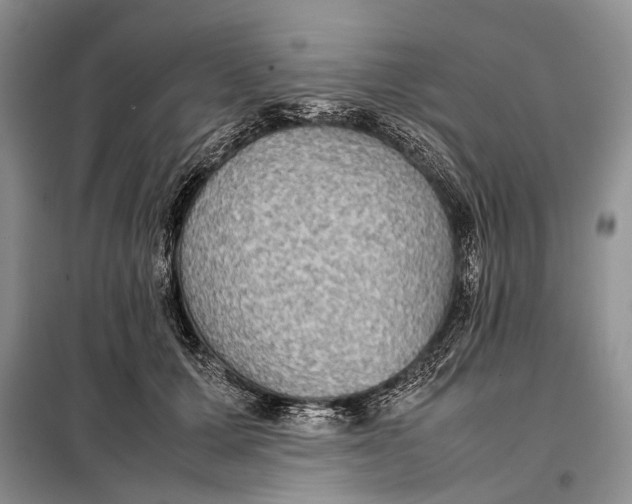 X0000098020607200804181204