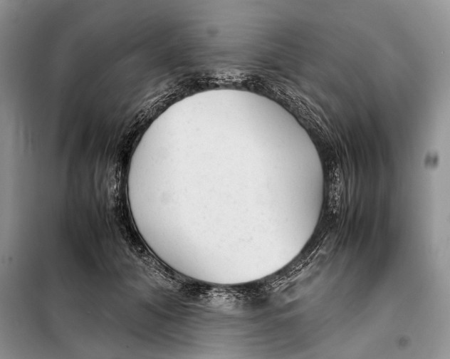 X0000098020608200804181204