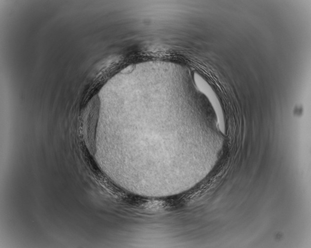 X0000098020609200804181204