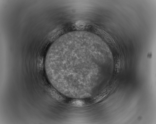 X0000098020610200804181204