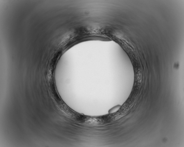 X0000098020611200804181204